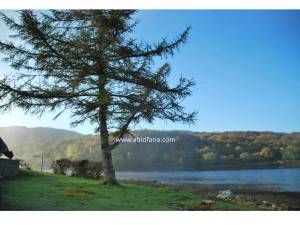 Dari dalam penginapan di Linnhe Holiday Park, inilah pemandangan yang dapat dilihat